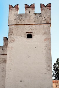 Castle Turret freerange