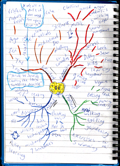 Image by Graham Burnett, GNU Free Documentation License. This mindmap (Mind map) consists of rough notes taken by the author during a course session covering aspects of wellbeing, ie, paying attention to the dimensions represented in the 4 branches radiating from the central image of physical, emotional, mental and spiritual health.